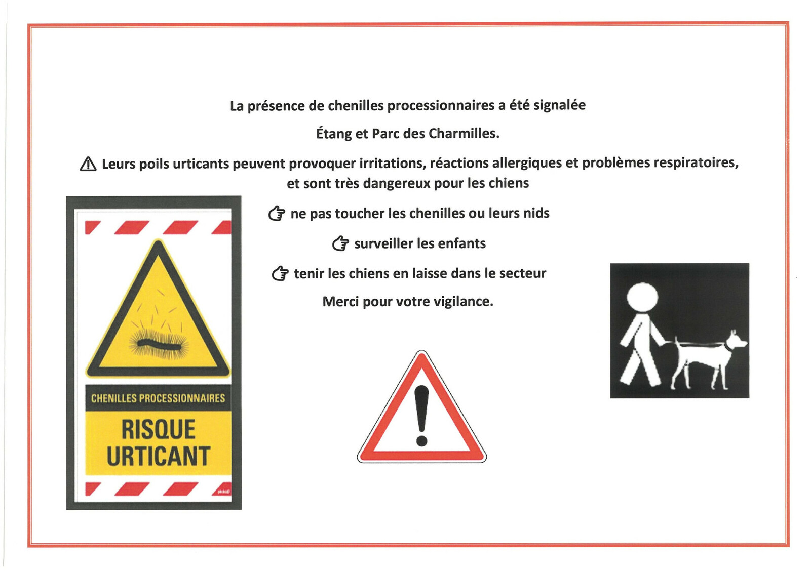 Pr&eacute;sence de chenilles processionnaires